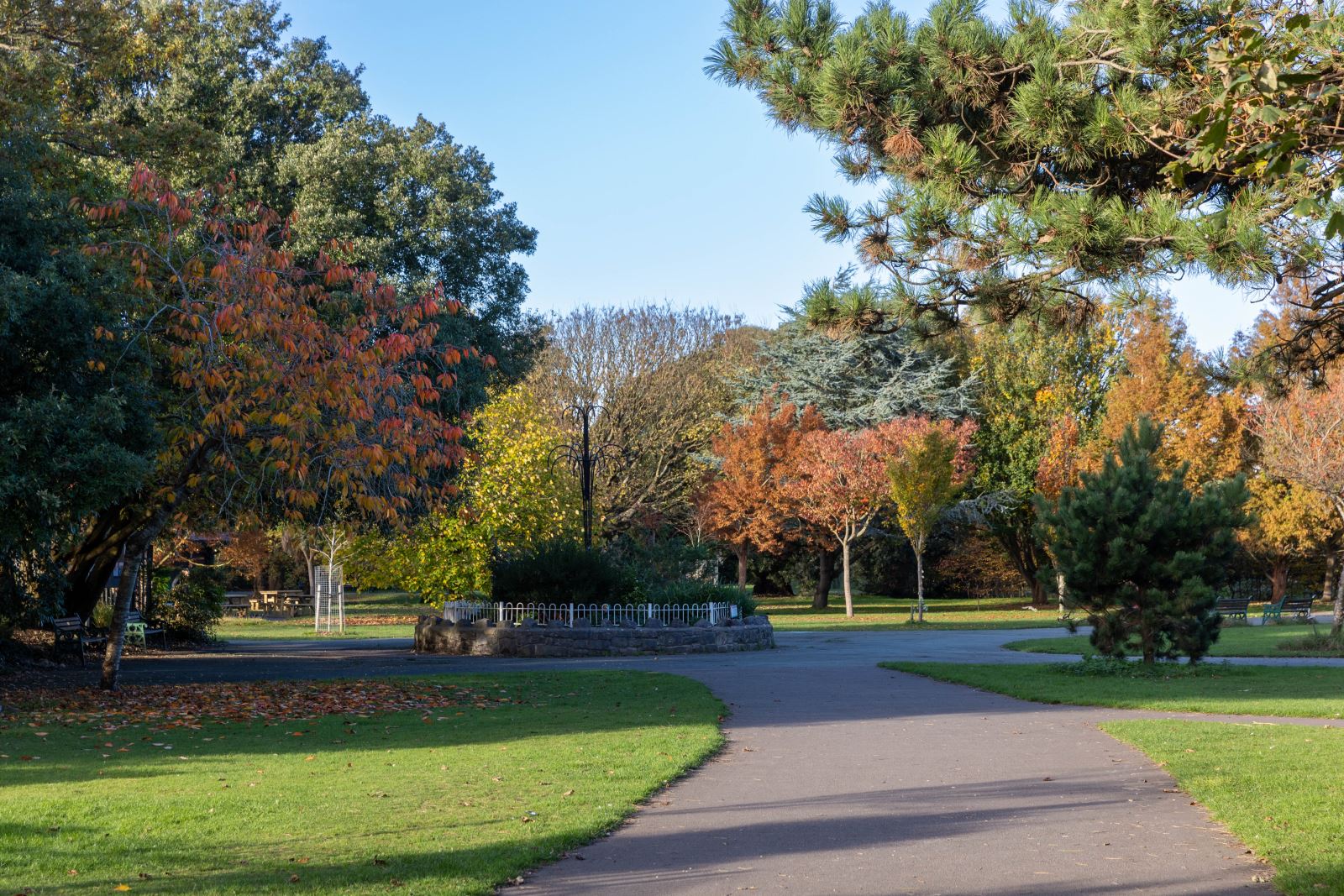 Trees turning into Autumnal colours in Clarence Park, Weston-super-Mare